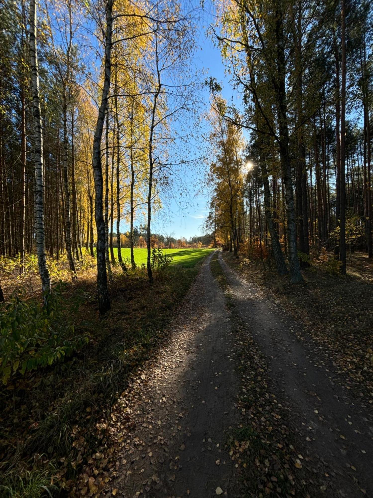 Folwark Minikowo - Agroturystyka W Borach Tucholskich - 5 Pokoi Z Prywatnymi Lazienkami Byslaw Esterno foto