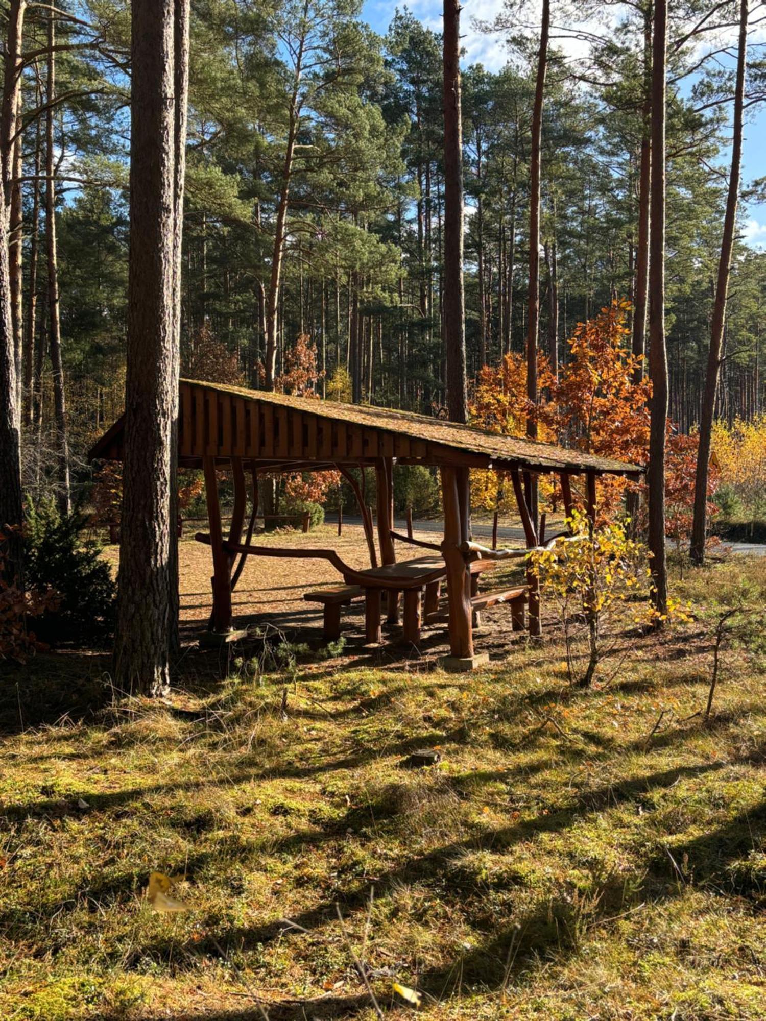 Folwark Minikowo - Agroturystyka W Borach Tucholskich - 5 Pokoi Z Prywatnymi Lazienkami Byslaw Esterno foto